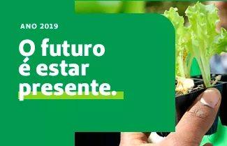 Relatório 2019 Relatório 2019